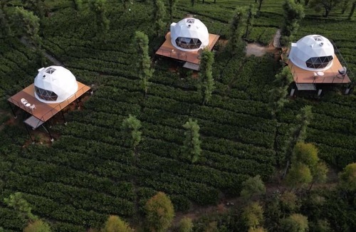 Vayittiri Resort | Vythiri Tea Valley