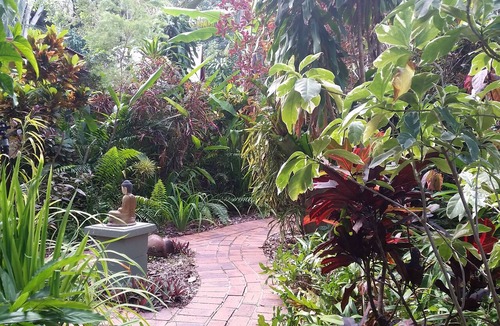Nelly Bay Cottage | Wheelchair Accessible with Assistance Cottage in a peaceful place.