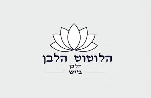 Tosh House | White lotus stay & cafe tosh