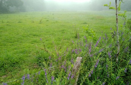 Somvarpet Resort | Wild River Cottage