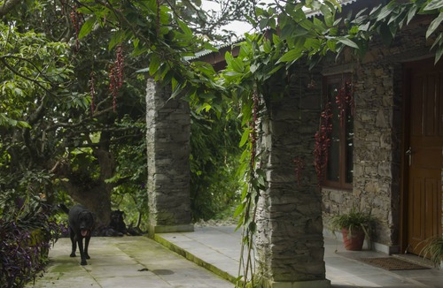 Jakh Cottage | Wildlife, Nature & Peace off the beaten track - Your Private Wilderness