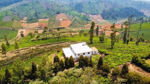 Wellington House | Willostays Green Valley villa ooty