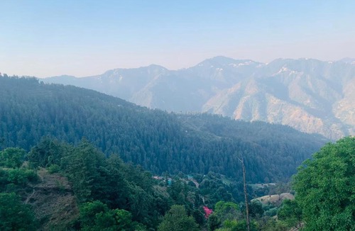 Shimla House | Woodista Villa