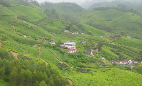 5 Bedroom in Tea Plantation