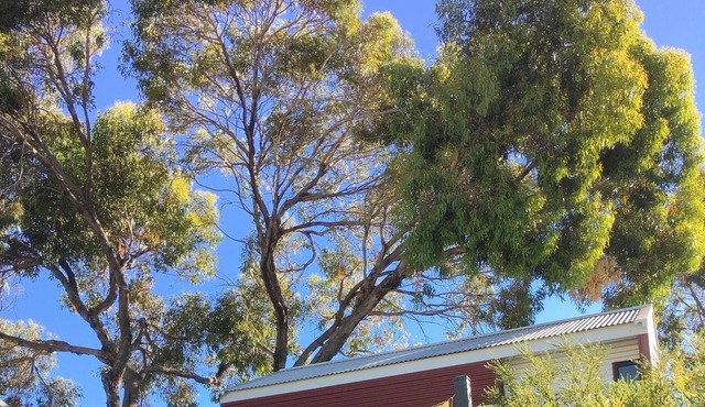 BEACH SHACK PRESTON BEACH RESORT - HEATED POOL - FOXTEL - 500M TO BEACH in Preston Beach