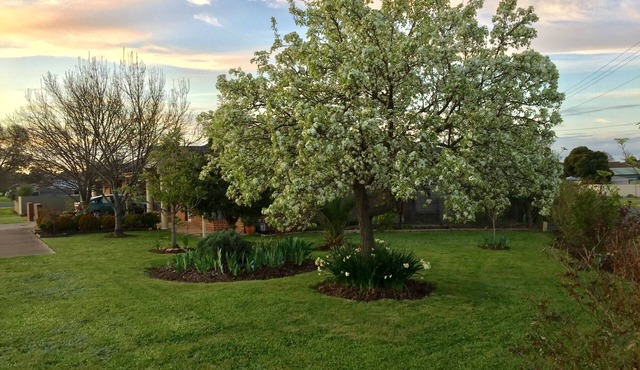 Bird Abode Accommodation in central Maryborough in Maryborough