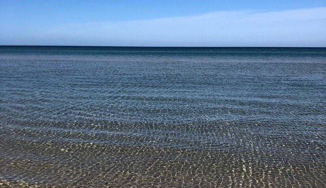 Charming Beachside studio - 2 min to the beach , pets welcome . in Carrum
