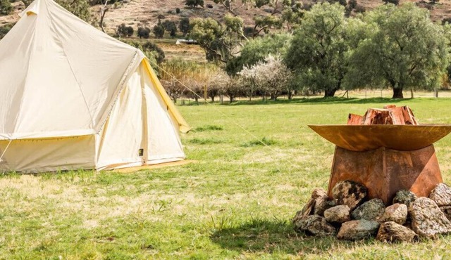 Cherry Blossom Glamping Tent at La Paloma Farm in Darbys Falls