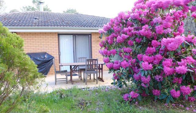 Comfortable and fresh for relaxing in the green serenity. in Hepburn