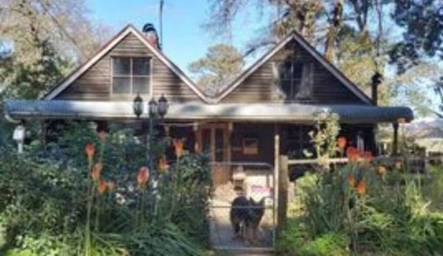 Cottage, nicely tucked away yet close to everything. in Mount Burnett