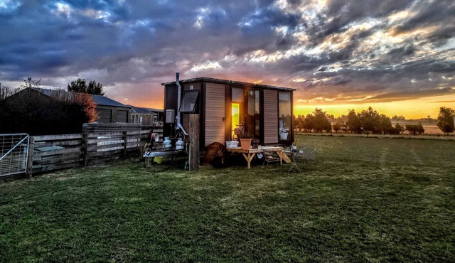 Cottesloe Summary:Se in Hagley