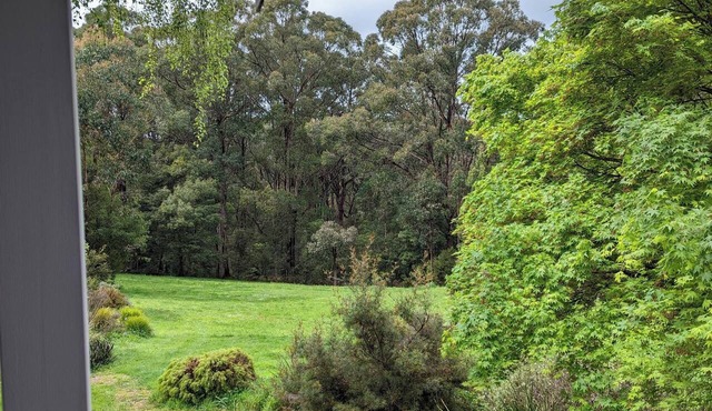 Cute 2-bedroom cottage, opposite the MTB trailhead inForrest in Forrest
