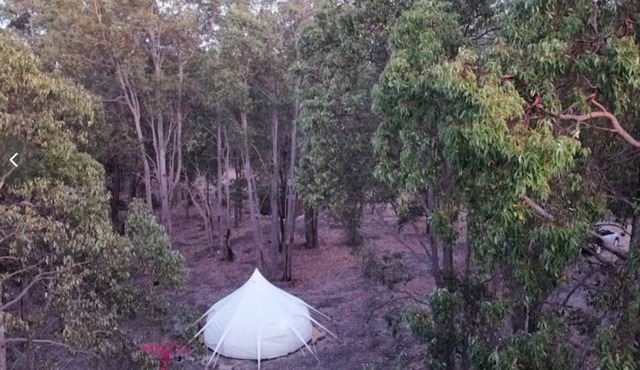 Eversprings Glamping - Eco retreat - Mirkwood in Mount Helena