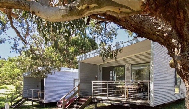 FDE 5 - FAMILY DELUXE 2 BEDROOM CABIN in Cape Otway