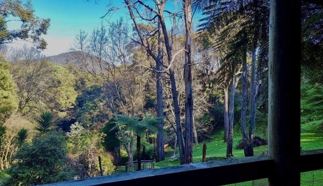 Forget Me Not Cottages-Music Room in Warburton
