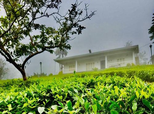 Four Winds Plantation Homestay Approved by Dept of Tourism Govt of Kerala