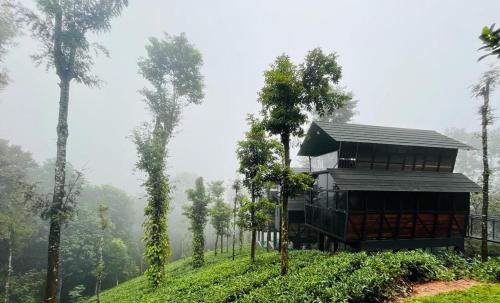 Fresh Wave Resort With Private Pool Tree House - Soochipara - Wayanad
