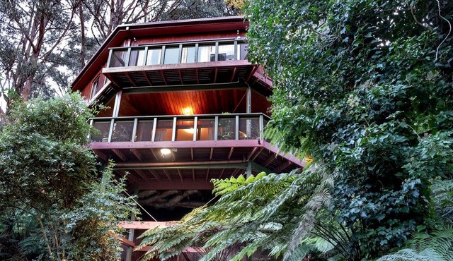 Gorgeous Octagonal Tree House Rental for a Unique Dandenong Ranges Accommodation near Melbourne in Kalorama