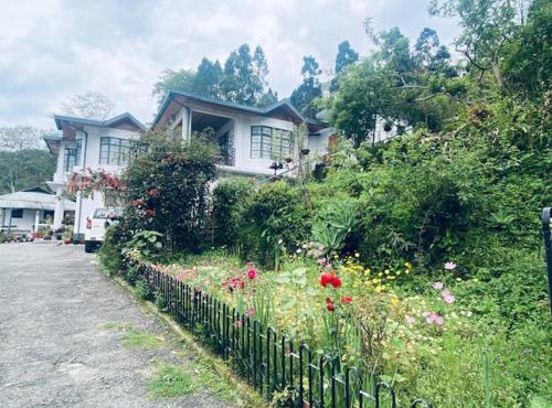 Grey Dove Homestay