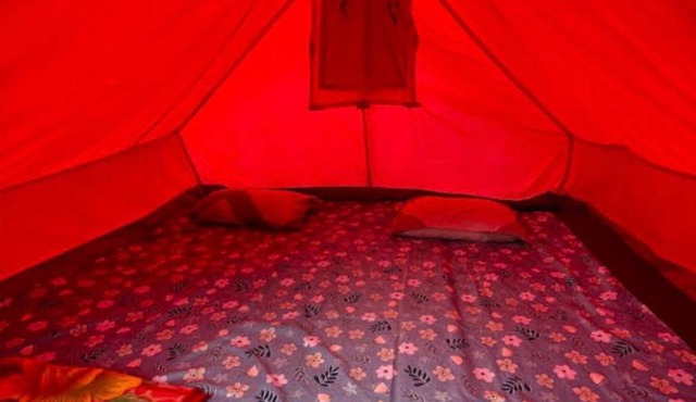 Guester homestay and campsite