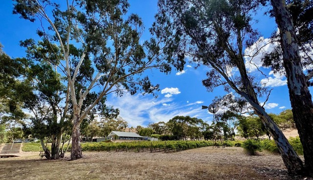 Intimate Vineyard Setting Minutes to Everything in Sevenhill