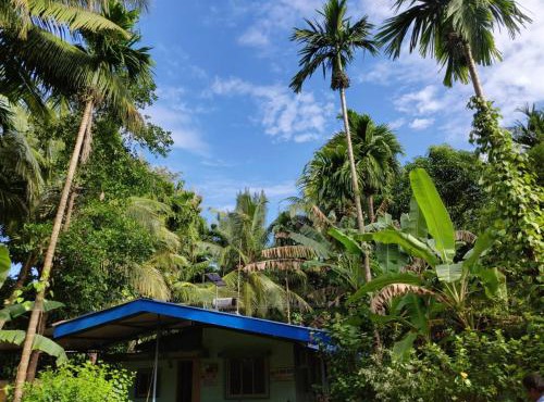 JD Home Stay - All Cottages
