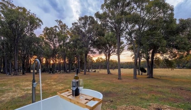 Kaarta - Where Sunsets Ignite the Soul. Named for its hilltop majesty (Noongar for "scarp"), unveils a panorama that steals your breath. in Kangaroo Gully