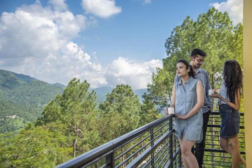 Kasauli Greens Homestay