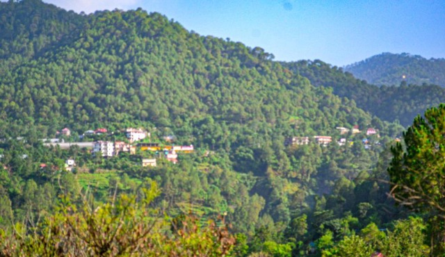 Property Image