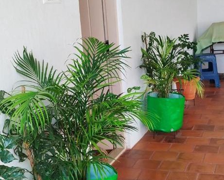 Komorebi Home stay in Mysore