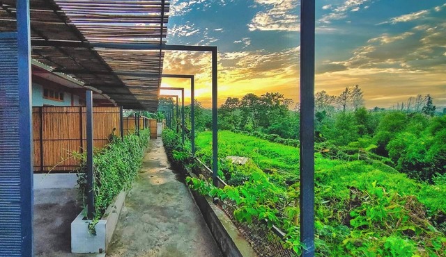 Labah Tong Hill Resort Bandarban