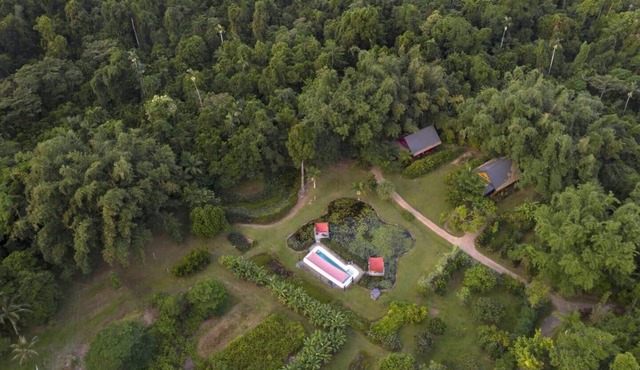 Lillypads Red Cottage - Rainforest Tranquility in Mission Beach