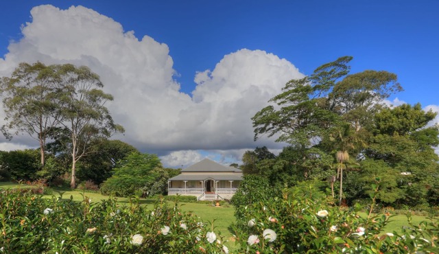 Magnificent, Iconic Queenslander with beautiful gardens and Pool. in Flaxton