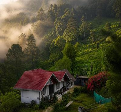 MAHAMAYA'S - Home in the Himalayas
