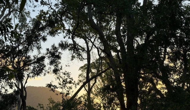 Mary River Hideaway - Bush Turkey Retreat a place to unwind surrounded by nature in Conondale