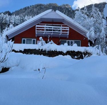 Mistvale Cottage