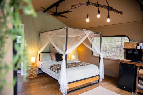 Moogie Glamp in Moogerah