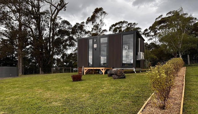 Mountain Views Cabin in Tyers