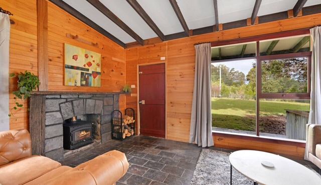 Mt Elephant Forrest Cabin in Gray