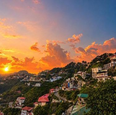 Mystic Stays 2BHK Royal Orchid Resort Mussoorie