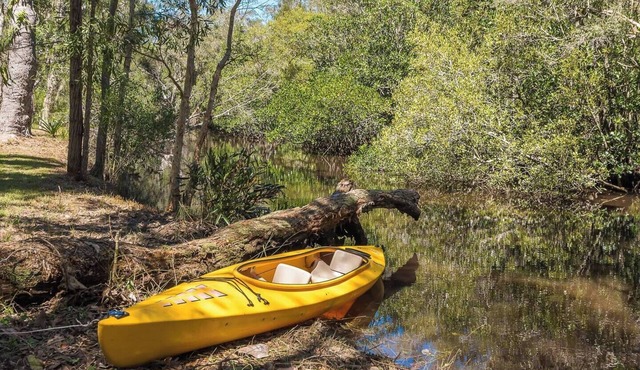 Noosa riverside cottage in Australian bush setting in Cooroibah