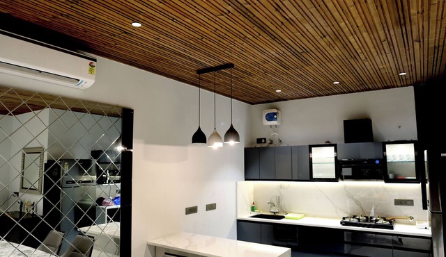 Palm Tree Villa with 3 Bedrooms and private pool in Central Jaipur in Jaipur