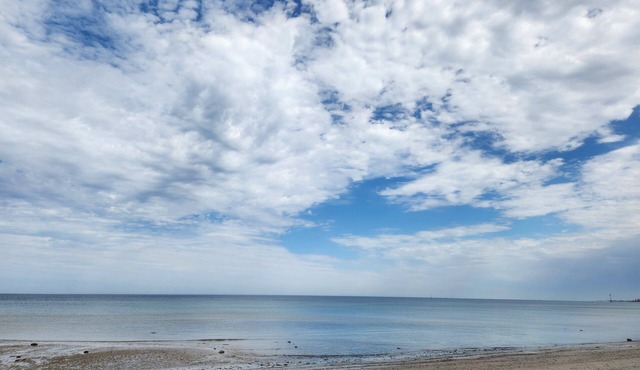Private accessible, renovated studio just 700m from Seacliff beach. in Kingston Park