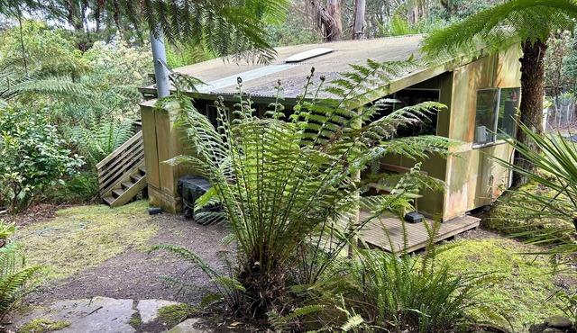 Rainforest retreat 7 minutes from the beach and next to CapeOtway National Park in Skenes Creek North