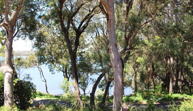 Riverscape Cottage No.11 - Riverscape - unit 11 with views over the Blackwood River and fire place in Augusta