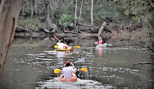 Riverside luxury in the Australian bush close to internationally famous Noosa. in Cooroibah