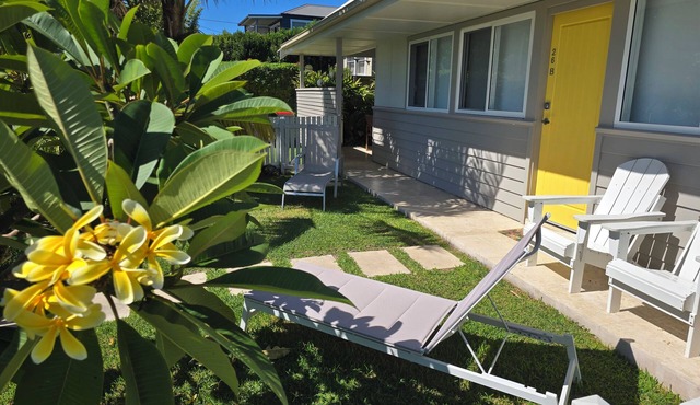 SAND Cottage- Light, breezy. 1 min walk to Currarong Beach. in Currarong
