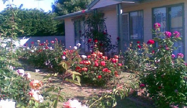 Sea Rose ~ Short walk to the beach and shops! Off Peak Special! in Port Vincent