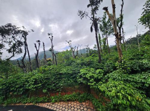 Shrunga Shreni Homestay - Near Bandaje trek and falls in Kalasa