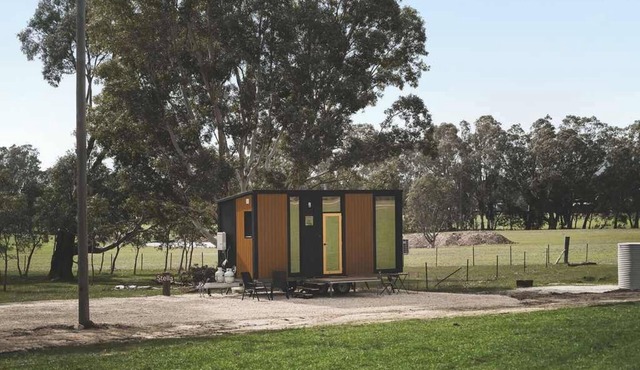Stella at Sheltered Paddock by Tiny Away in Warrenmang